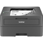 Brother HL-L2400DW Standard Laser Printer