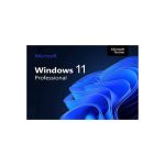 Windows 11 Professional